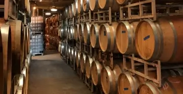 bodega sant sadurní d'anoia