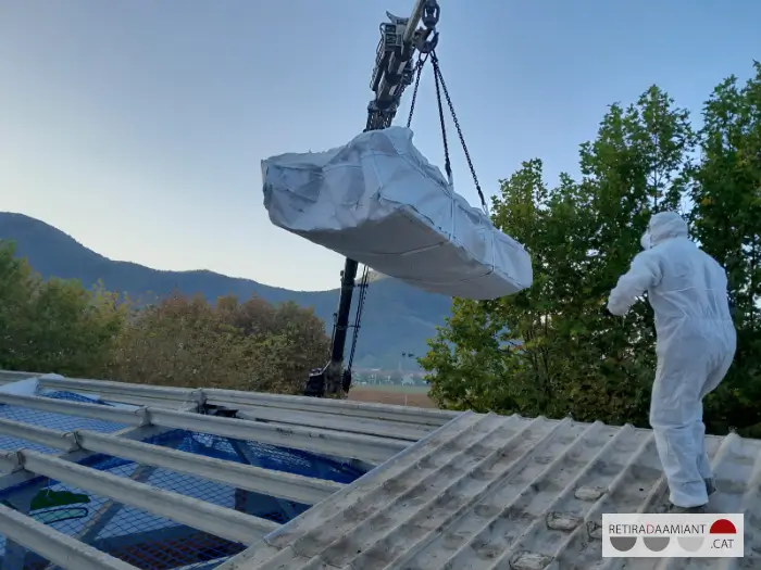 Grua descarregant plaques d'amiant d'una teulada on apareix un treballador equipat amb EPIS per retirar amiant