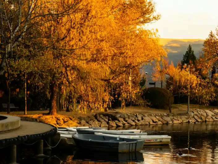 Retirada de amianto en Puigcerdà