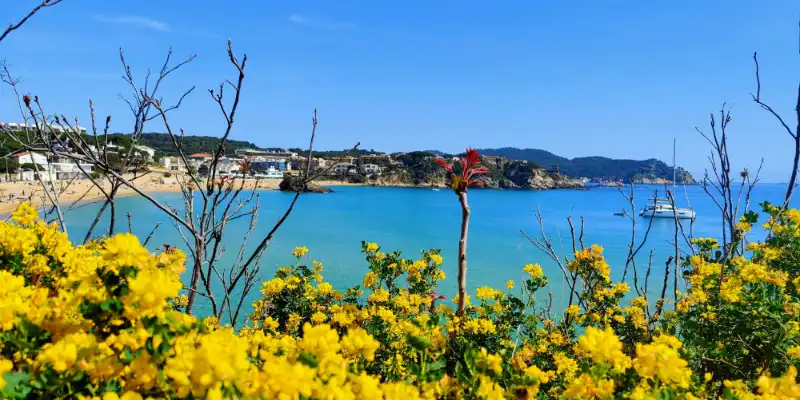 retirada d’amiant a Palamós